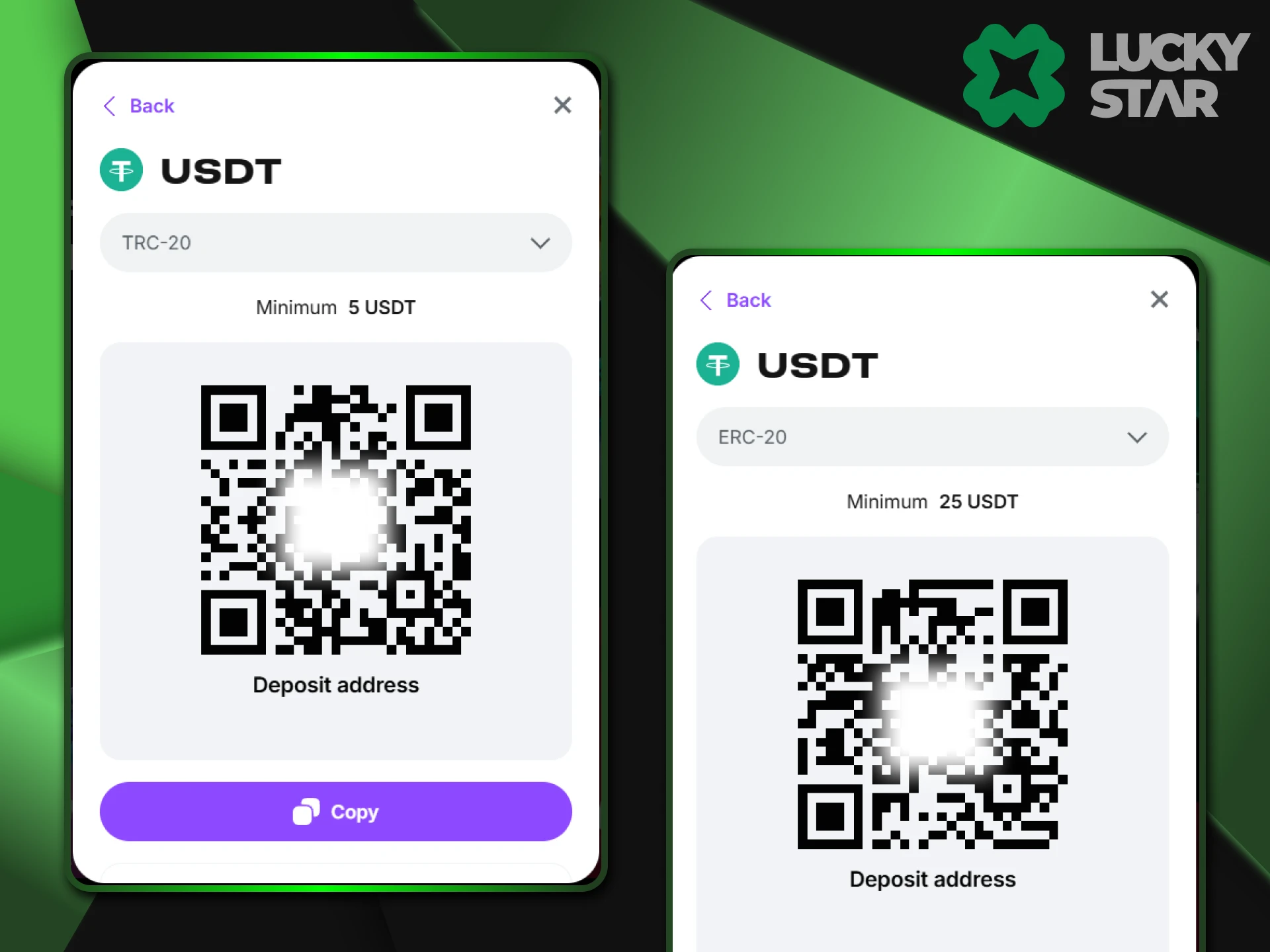 Be careful which crypto wallet address you use when making transactions to LuckyStar.
